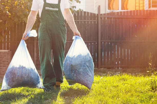 Best Basement Cleanout  in Wapello, IA